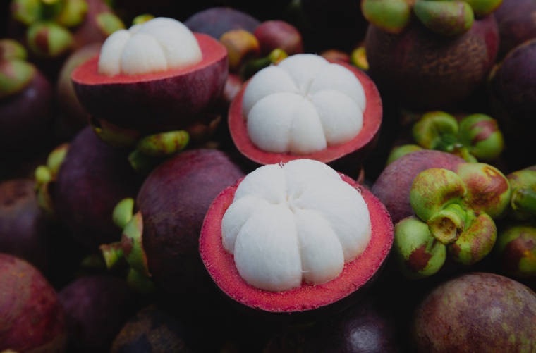 Mangosteen Fresh